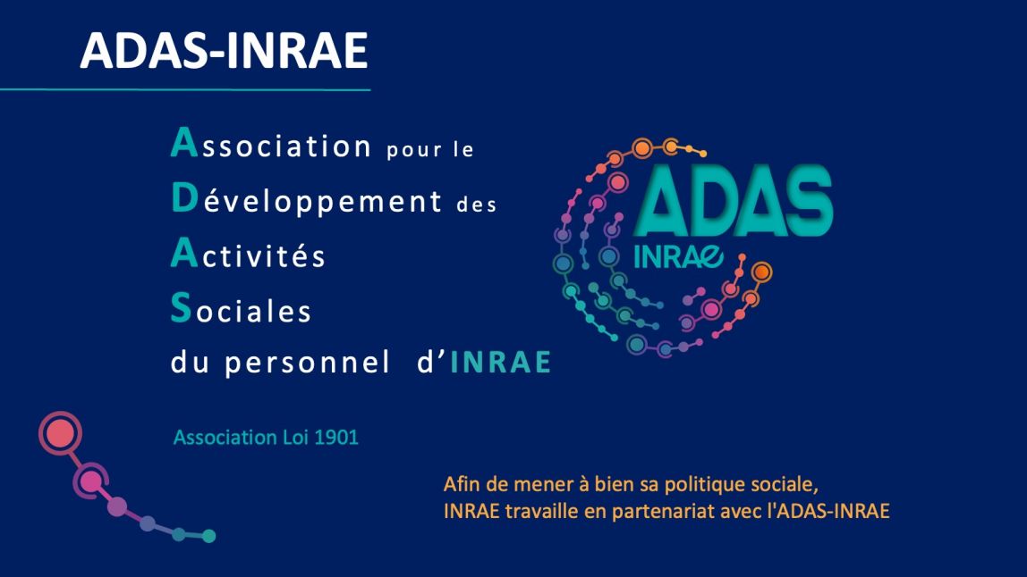 Presentation Adas 2025 01.jpeg
